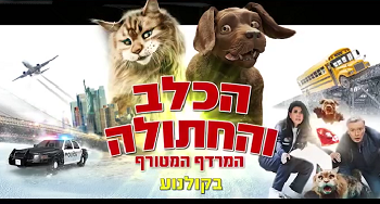 הכלב והחתולה – המרדף המטורף